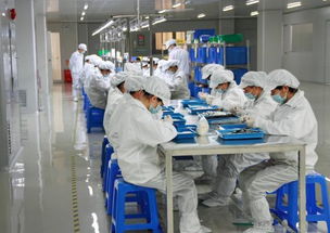 為何電子廠偏愛低學歷員工？揭秘書單不背的多重考量